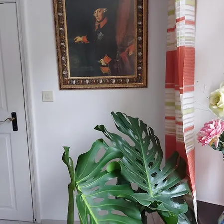 Im Kurfuerstlichen Zollamt