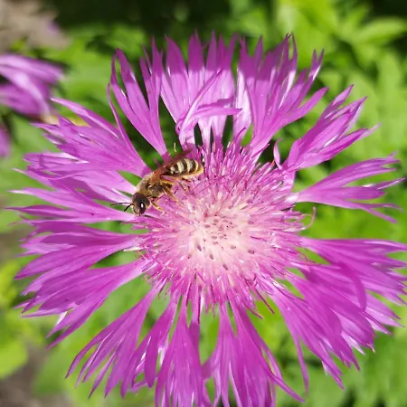 Im Kurfuerstlichen Zollamt