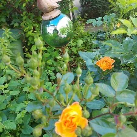 Apartament Im Kurfuerstlichen Zollamt Tangermünde