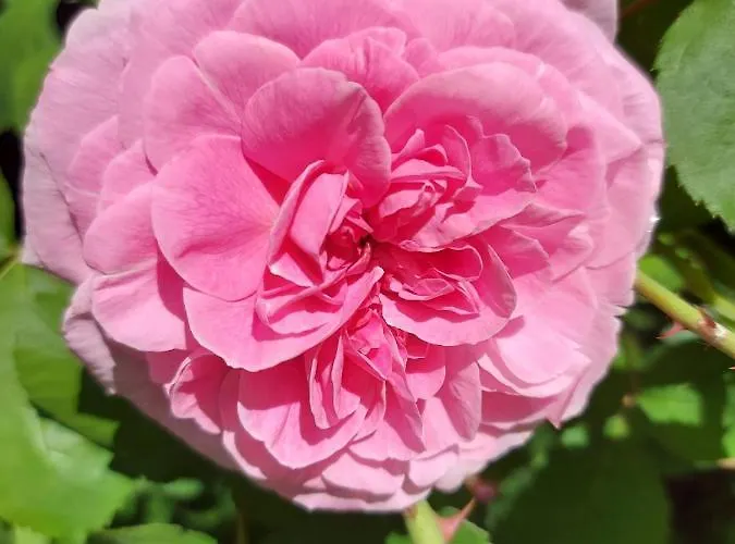 Lägenhet Im Kurfuerstlichen Zollamt