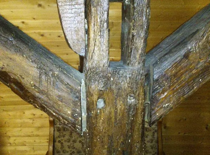 Im Kurfuerstlichen Zollamt Lägenhet Tangermünde